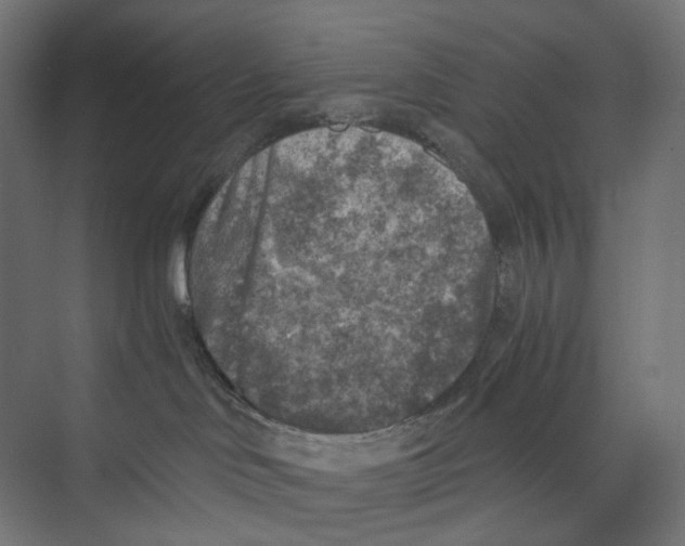 X0000073860046200609071644