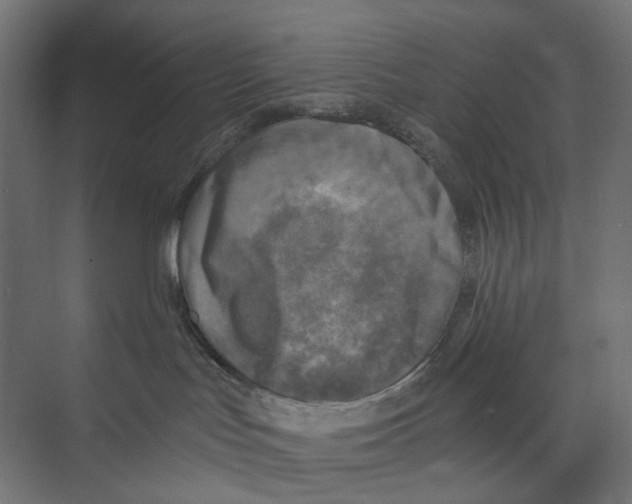 X0000073860047200609071644