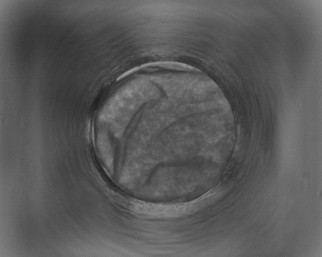 X0000073860048200609071644