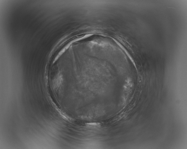 X0000073860053200609071643