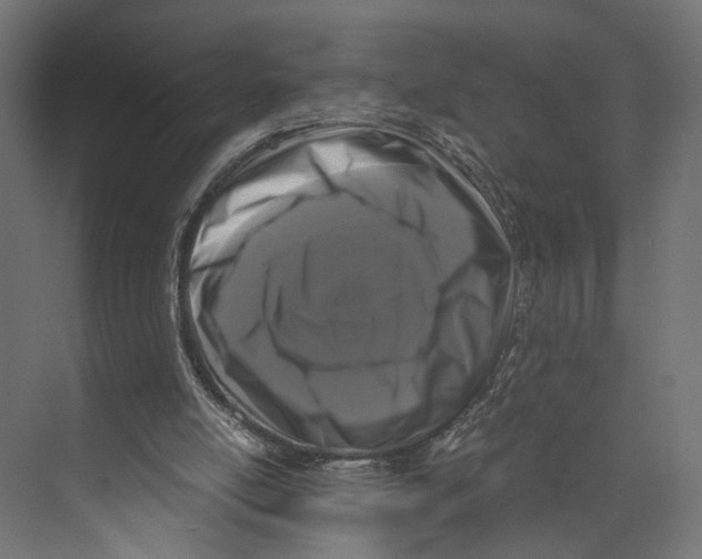 X0000073860054200609071643