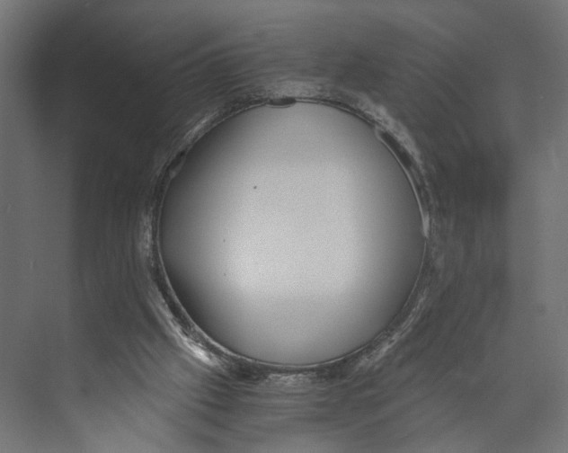 X0000073860057200609071644