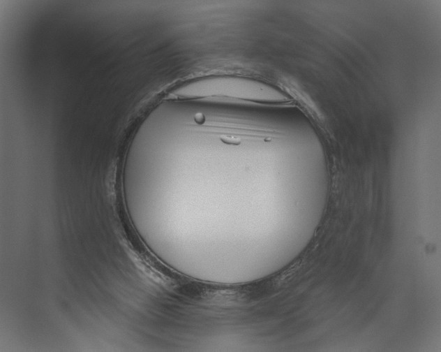 X0000073860058200609071644