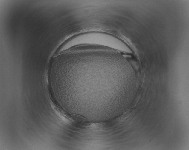 X0000073860060200609071644