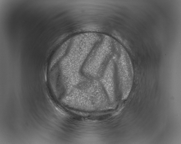 X0000073860062200609071644