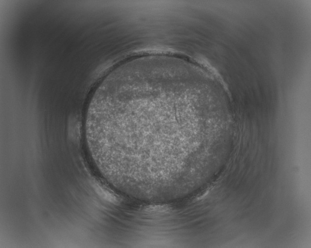 X0000073860063200609071644