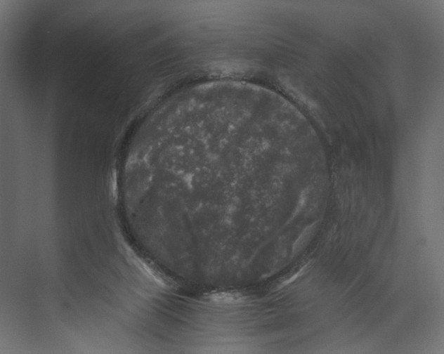 X0000073860067200609071644