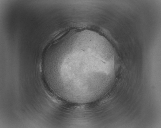 X0000073860068200609071644