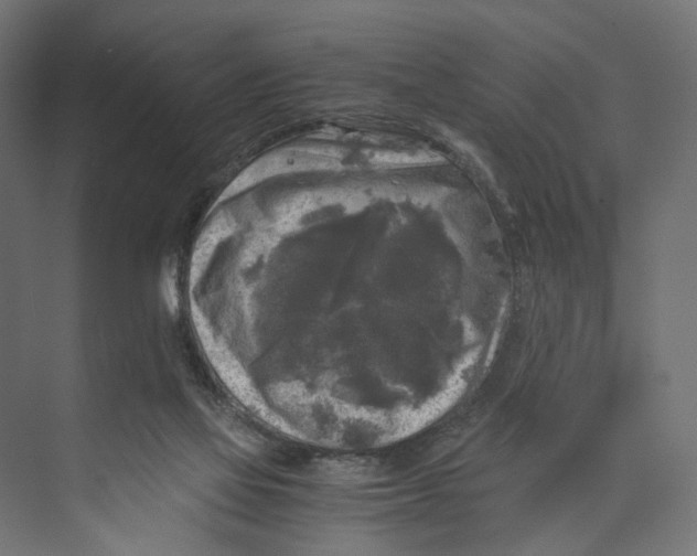 X0000073860069200609071644