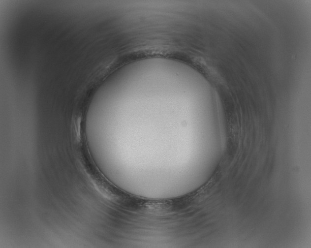 X0000073860070200609071644