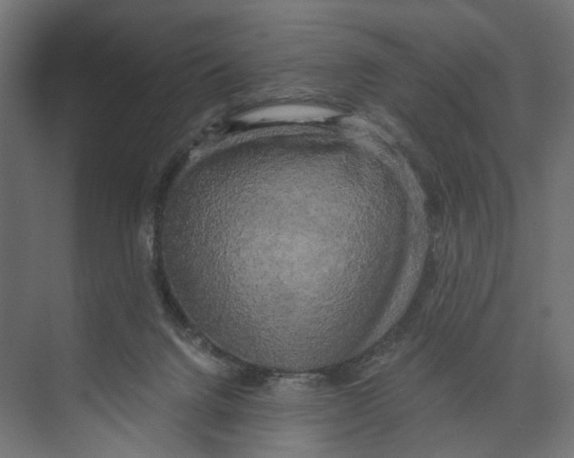 X0000073860072200609071644