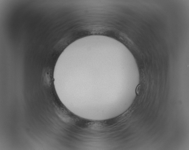 X0000073860074200609071644