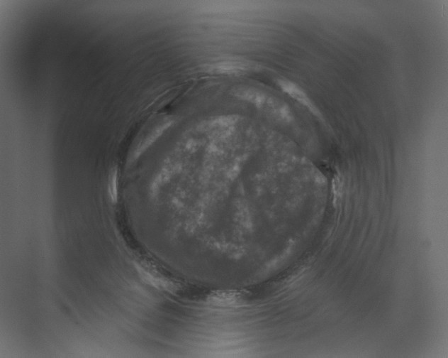 X0000073860076200609071644