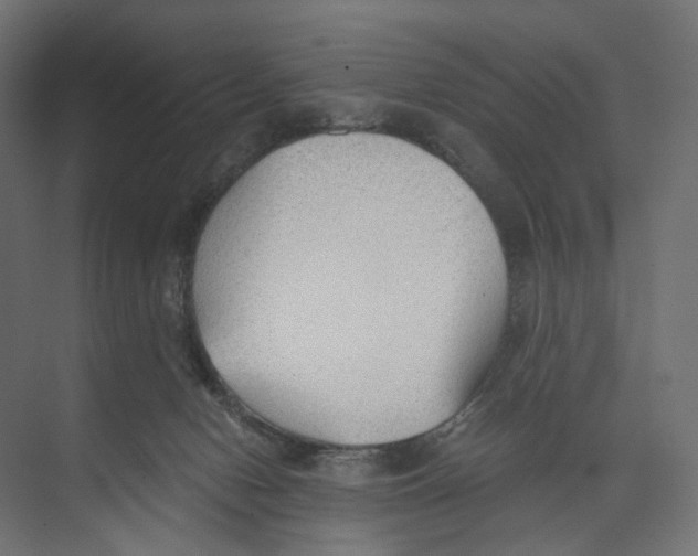 X0000073860078200609071644