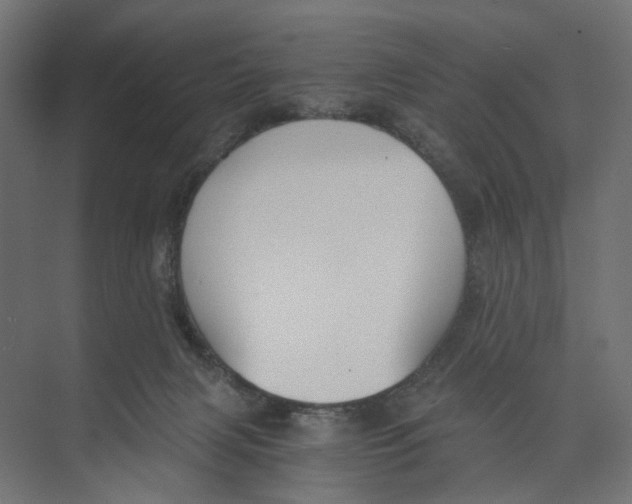 X0000073860079200609071644