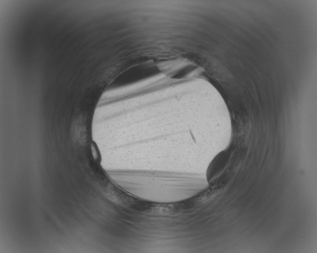 X0000073860080200609071644