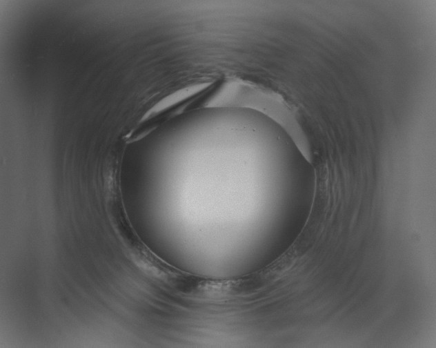 X0000073860084200609071644