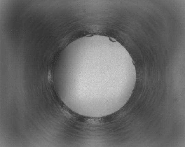 X0000073860089200609071644