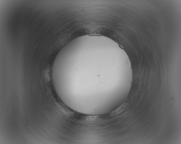 X0000073860090200609071644