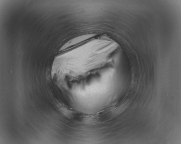 X0000073860096200609071644