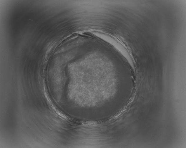 X0000073860097200609071643