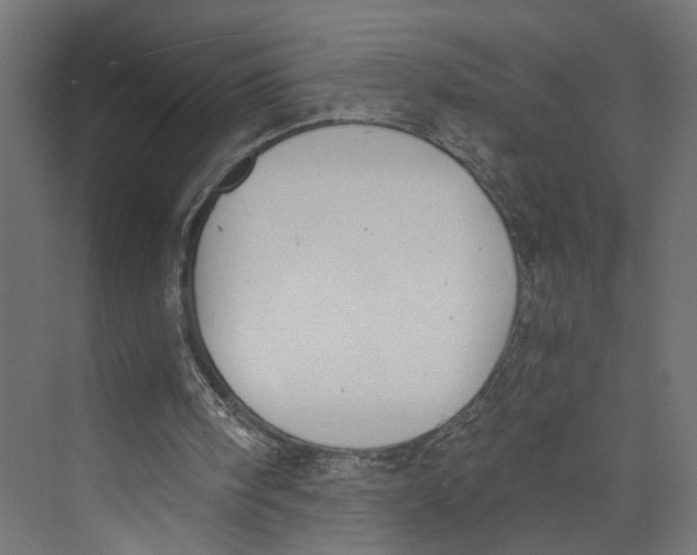 X0000073860098200609071643