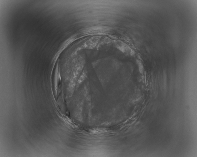 X0000073860099200609071643