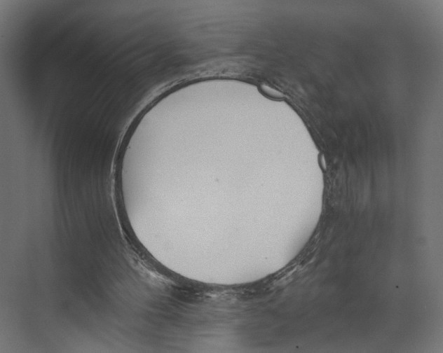 X0000073860100200609071643