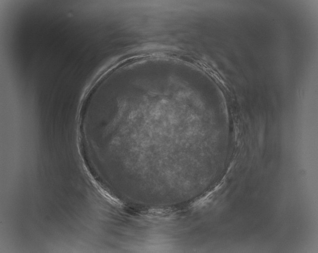 X0000073860101200609071643