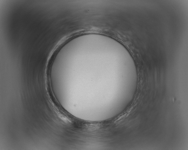 X0000073860102200609071643