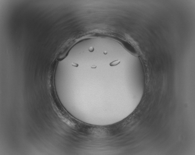 X0000073860106200609071643