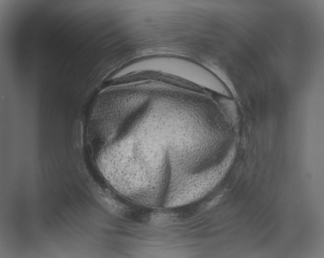 X0000073860109200609071643