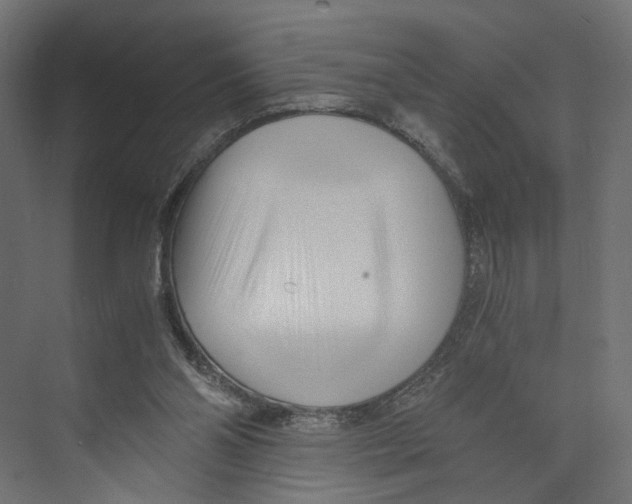 X0000073860110200609071643