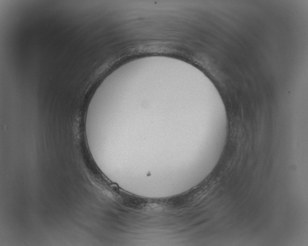 X0000073860111200609071643