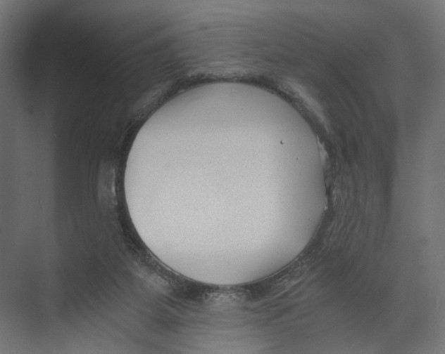 X0000073860115200609071643