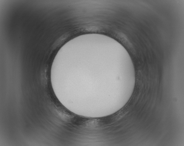 X0000073860116200609071643