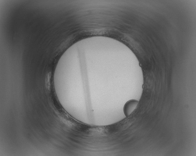 X0000073860118200609071643