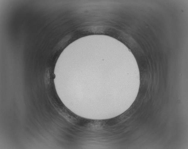 X0000073860120200609071643