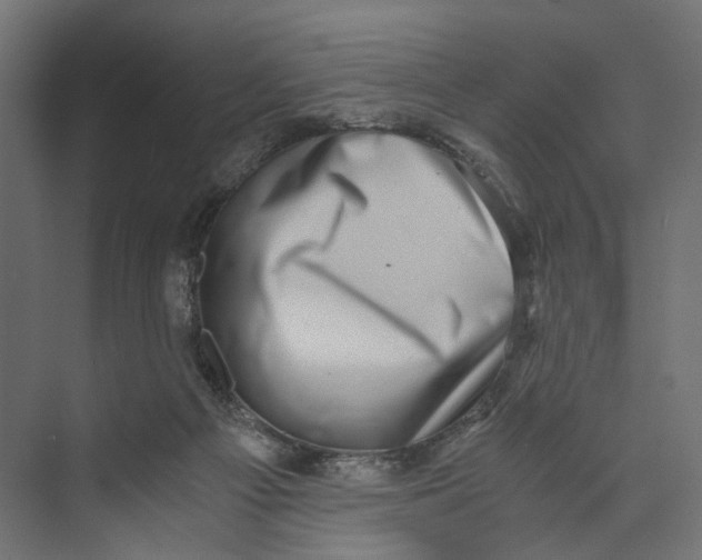 X0000073860121200609071643