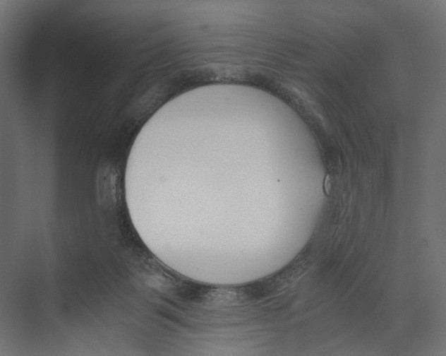 X0000073860123200609071643