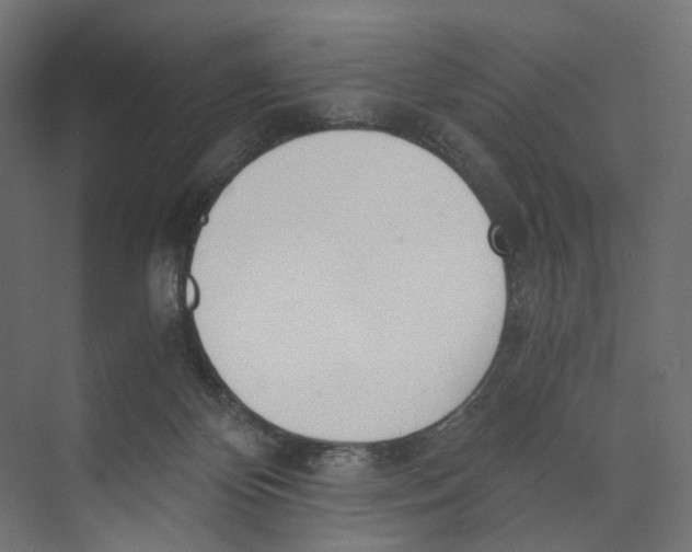 X0000073860124200609071643