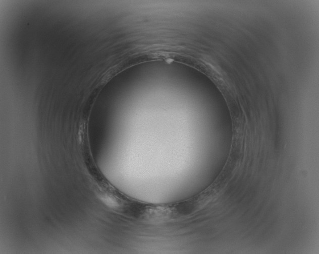 X0000073860125200609071643