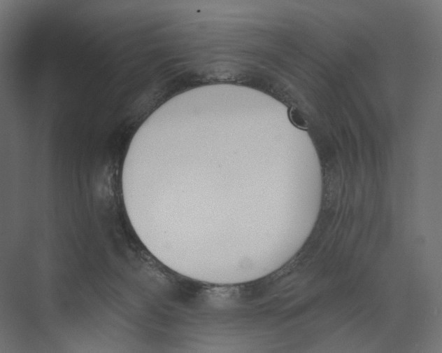 X0000073860126200609071643