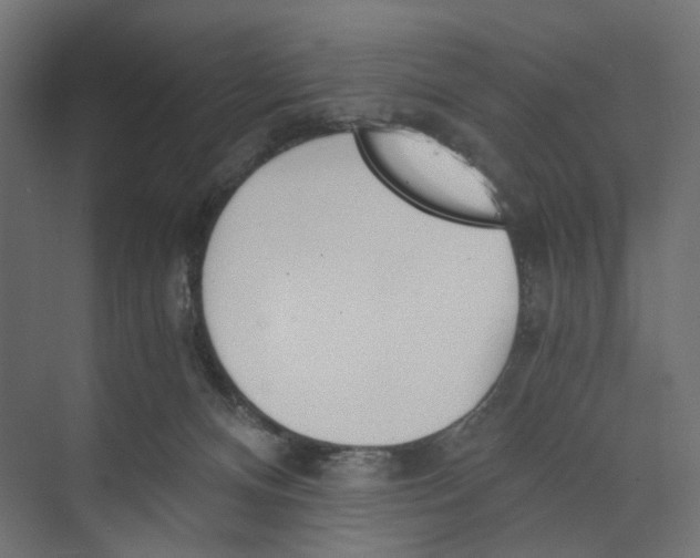 X0000073860128200609071643