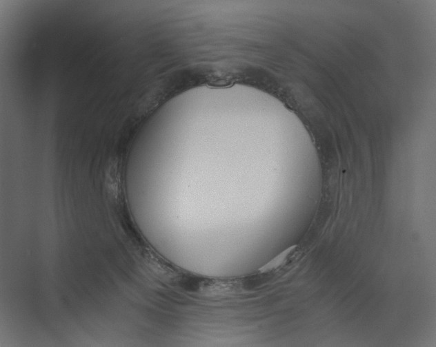 X0000073860129200609071643