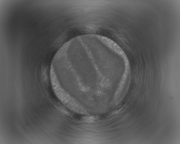 X0000073860131200609071643