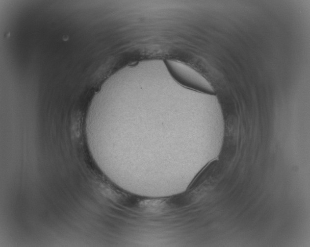 X0000073860133200609071643