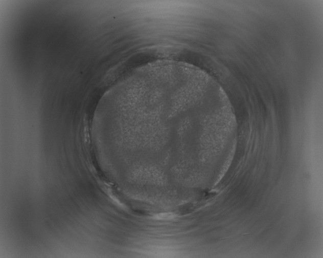 X0000073860137200609071643