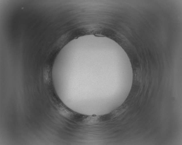 X0000073860138200609071643