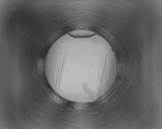 X0000073860142200609071643